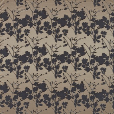 Stout LEAF 1 ESPRESSO