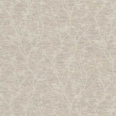 Stout LEICESTER 2 CHAMPAGNE