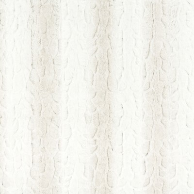 Stout LIBERTY 1 BIRCH