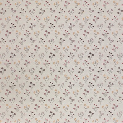 Stout LITHIA VINEYARD