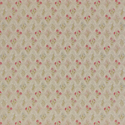 Stout LITHIA CARNATION