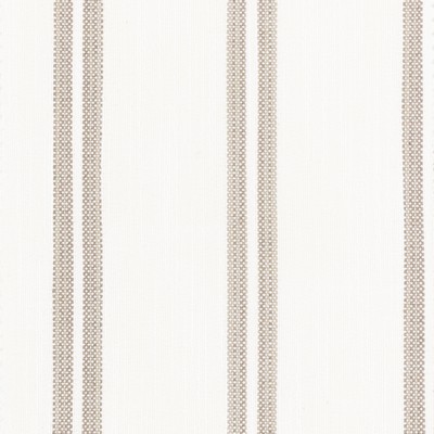 Stout LUCY 6 MUSHROOM MUSHROOM