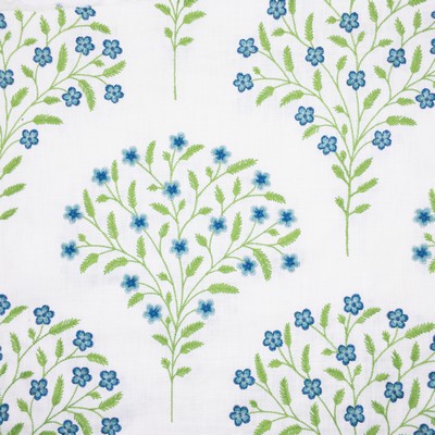 Stout LYON 2 SEEDLING