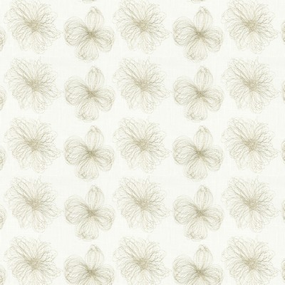 Stout MARNIE 1 SANDALWOOD