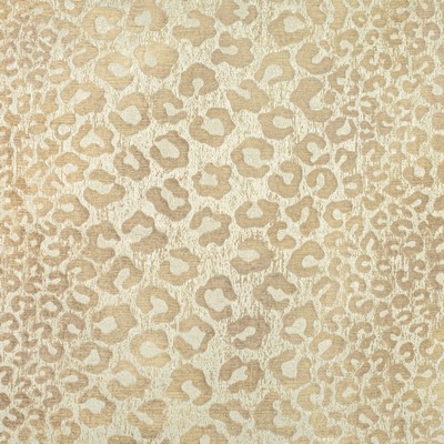 Stout MASINO ANTIQUE