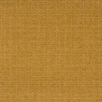 Stout MEMENTO GOLDENROD