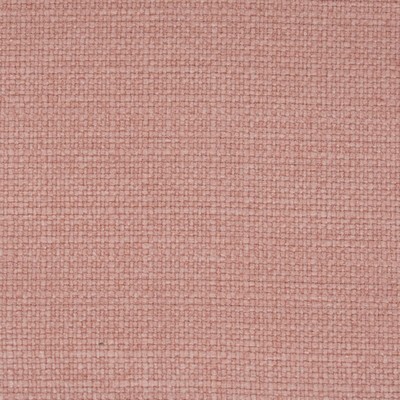 Stout MEMENTO BLOSSOM