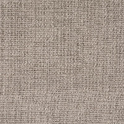 Stout MEMENTO MUSHROOM