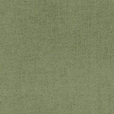 Stout MENAGERIE 1 MOSS