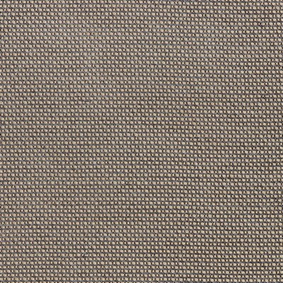 Stout METUCHEN GRAPHITE