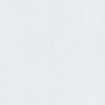 Stout MISHAP 1 FROST