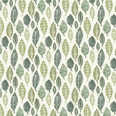 Stout MOLECULE 2 GRASS