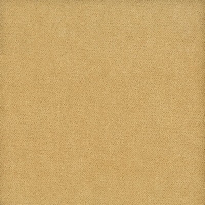 Stout MOORE CHAMPAGNE