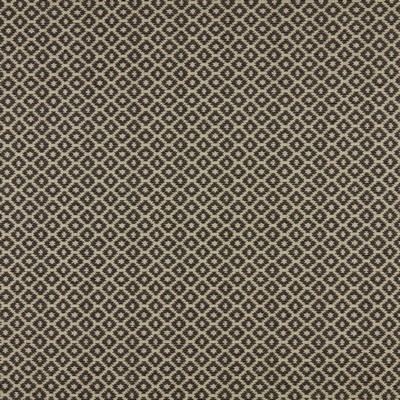 Stout MOYA 1 CHARCOAL