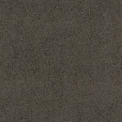 Stout NARCISSUS 1 SHADOW