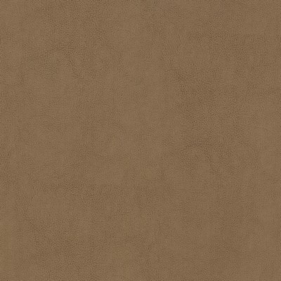 Stout NARCISSUS 2 BUTTERUM