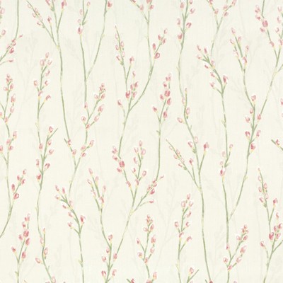 Stout NAVIGATE PRIMROSE