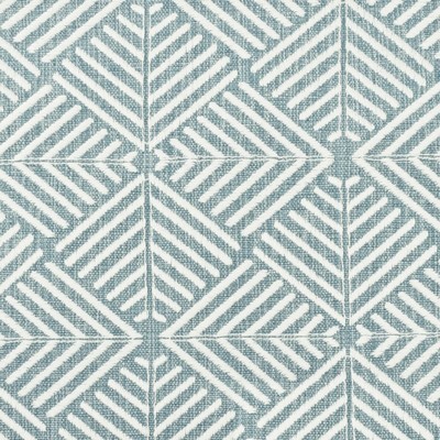 Stout NEGRONI BLUE/WHITE