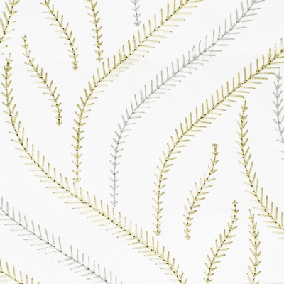 Stout NERO CHARDONNAY