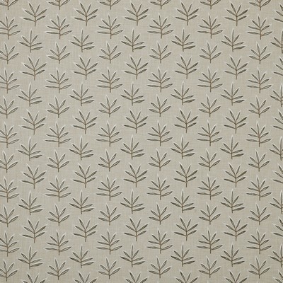 NEXUS 1 SPRING Stout NEXUS 1 SPRING