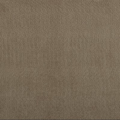 Stout NIGEL SANDSTONE