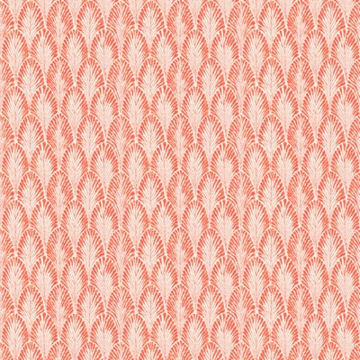 Stout NINETIES SHRIMP