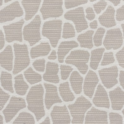 Stout ODYSSEY 1 DUSK