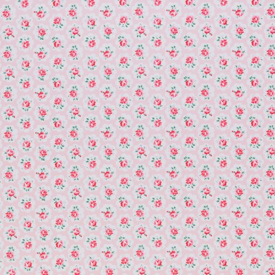 Stout OMALLEY 1 POWDER