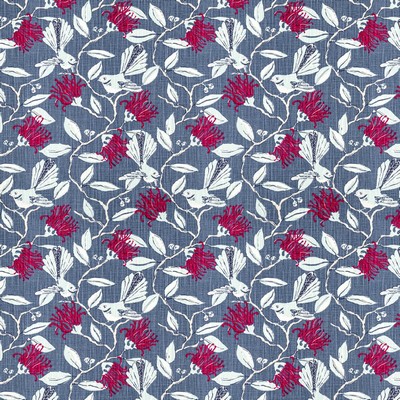 Stout ONLOOKER FEDERAL