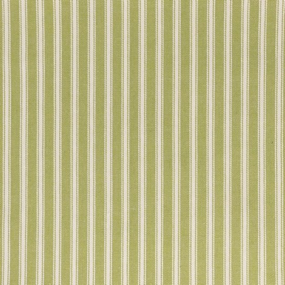 Stout ORBIT 6 DILL DILL