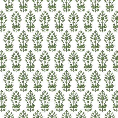 Stout OSHKOSH BOXWOOD