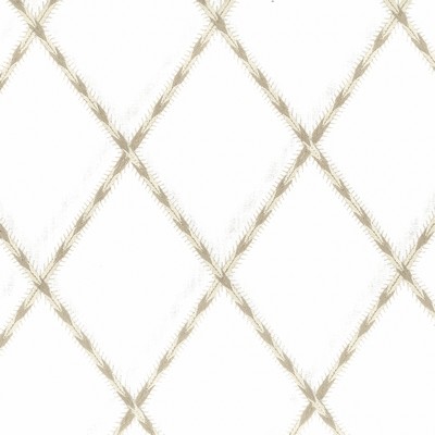 Stout PADRE 1 MUSHROOM