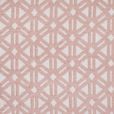 Stout PAGODA PRIMROSE