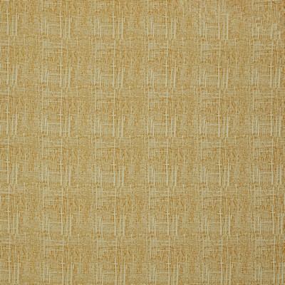 Stout PANDORA 2 GOLDENROD