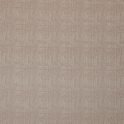 Stout PANDORA 5 BLUSH