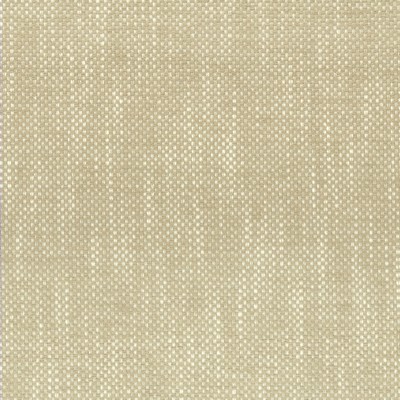 Stout PANIC 1 CHAMPAGNE