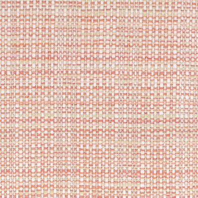 Stout PARODY 3 SUNSET