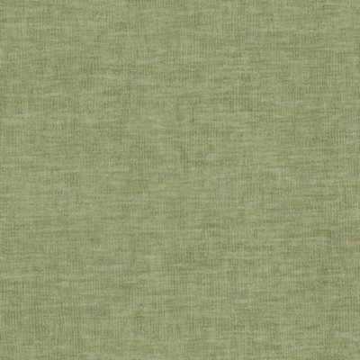 Stout PASADENA 1 APPLE