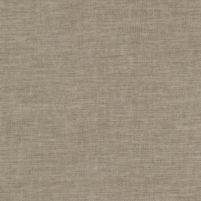 Stout PASADENA 6 MUSHROOM