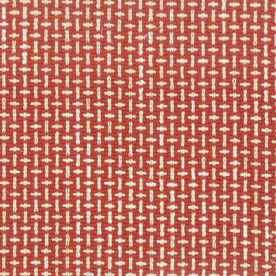 Stout PATERSON TOMATO