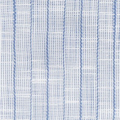 Stout PECORINO 1 BLUE/WHITE BLUE/WHITE