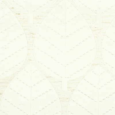 Stout PELLARI 1 NATURAL