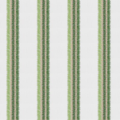 Stout PICCADILLY 1 GRASS