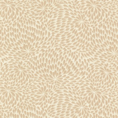 Stout PICKWICK 1 TOAST