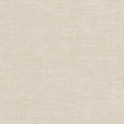 Stout PIMENTO 1 BUFF