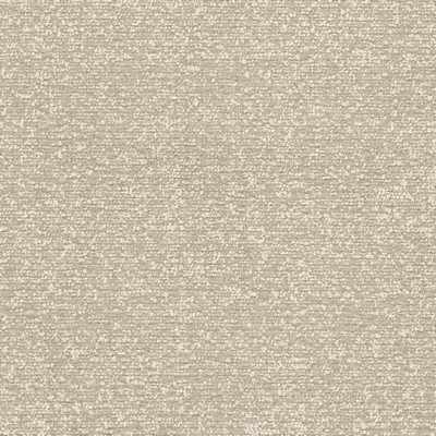 Stout PISA 1 BISCUIT