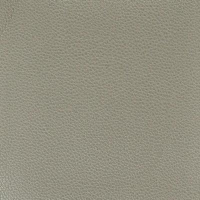 Stout PITCHER GRAPHITE