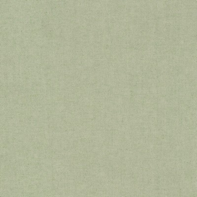 Stout PONDER 1 SPRING