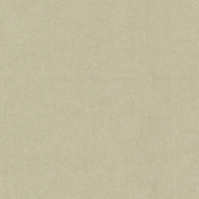 Stout PONDER 2 CELERY