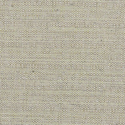 Stout PRIVILEGE ALOE